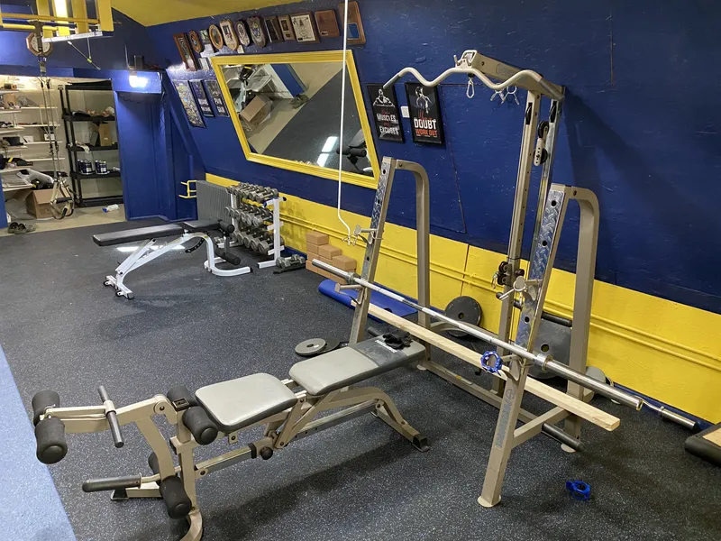 Weight Bench