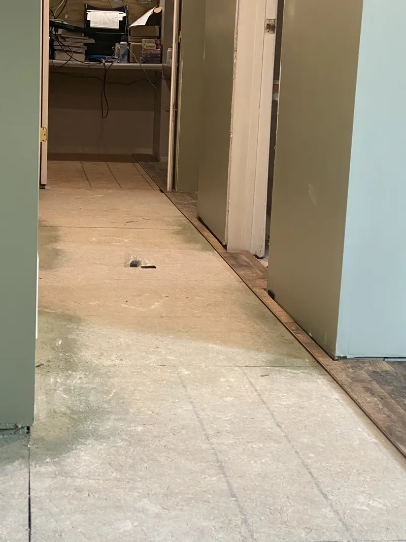 The Hallway