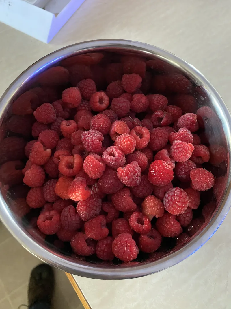 Fresh as they get