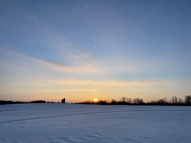 Minnesota Snowscape