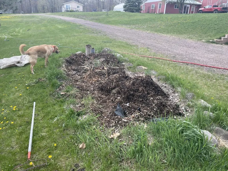 Old Bed filled with Wood Chips